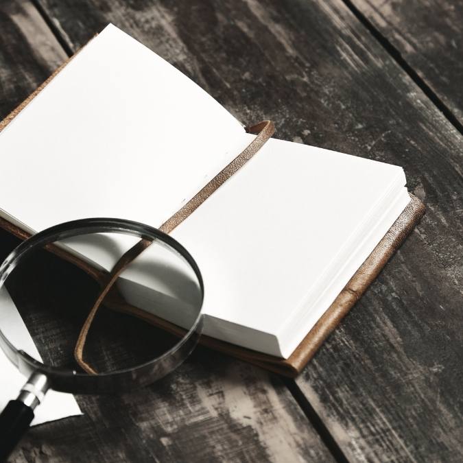 Detetive Particular em Nova Olinda