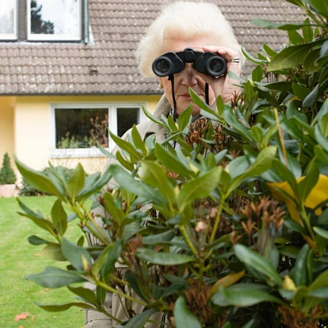 Detetive Particular em Matão