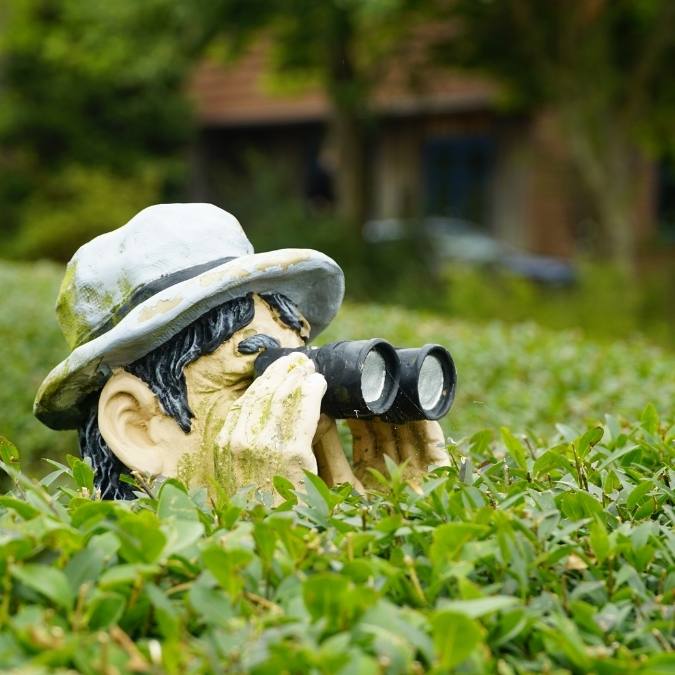 Detetive Particular em Registro