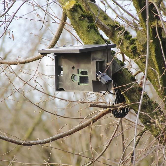 Detetive Particular em Salto Grande